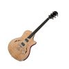 dan guitar dien taylor natural t3_1