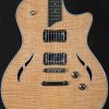 dan guitar dien taylor t3 natural