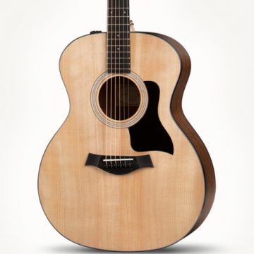 Taylor-100-series-6 Taylor-100-series-6