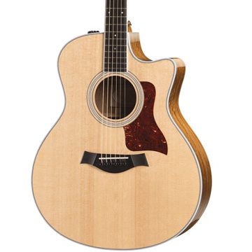 taylor-416ce