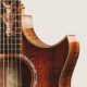 thumbs-florentine-cutaway thumbs-florentine-cutaway