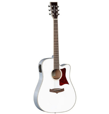 Tanglewood TW5 Dreadnought Cut