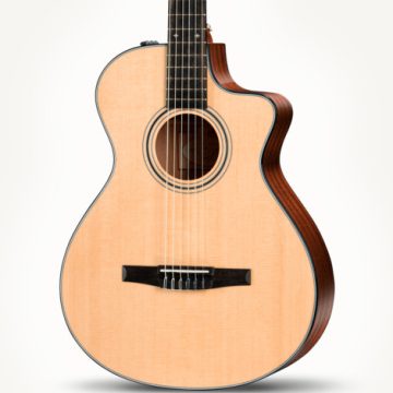 Taylor-312ce-N